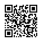 100217_94 QRCode