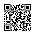 1004P4T1B1M1QE QRCode