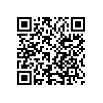 1004P6T1B1M1QEH QRCode