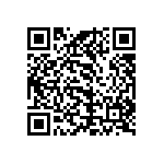 101C113T200DD2B QRCode