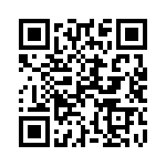 101R15W102KV4T QRCode