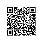 1111J1K00300JQT QRCode