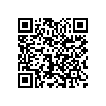 1111J2K00160JQT QRCode