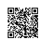 1111J2K06P80CQT QRCode