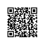 1111J3001P10DQT QRCode