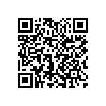 1111J3001P60HQT QRCode