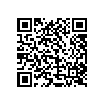 1111Y1K00510FQT QRCode