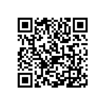 1111Y1K01P80BQT QRCode