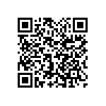 1111Y1K04P00BQT QRCode