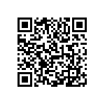 1111Y1K06P80BQT QRCode