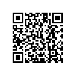 1111Y1K06P80CQT QRCode