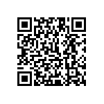 1111Y1K0P500BQT QRCode