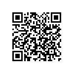 1111Y2000100KQT QRCode