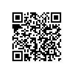 1111Y2001P30DQT QRCode