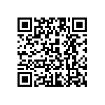 1111Y2004P30DQT QRCode