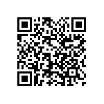 1111Y2500110FQT QRCode