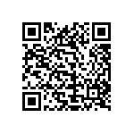 1111Y2500301FQT QRCode