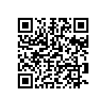 1111Y250P400DQT QRCode