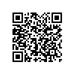 1111Y2K02P10CQT QRCode