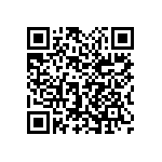 1111Y2K02P20BQT QRCode