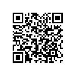 1111Y2K03P30HQT QRCode