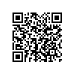 1111Y2K03P60DQT QRCode