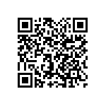 1111Y2K09P10BQT QRCode