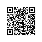 1111Y2K0P300BQT QRCode