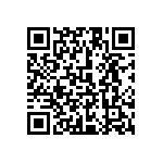 1111Y3000120FQT QRCode