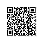 1111Y3000160JQT QRCode