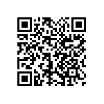 1111Y3001P50DQT QRCode