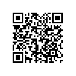 1111Y3005P10DQT QRCode