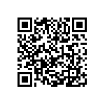 1111Y300P400CQT QRCode