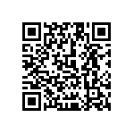 1111Y300P400HQT QRCode