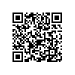 1111Y5001P80BQT QRCode