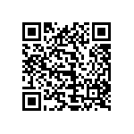 1111Y500P300BQT QRCode