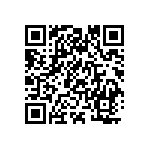 1111Y6303P30BQT QRCode