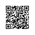 1111Y6304P70CQT QRCode