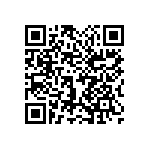 1111Y6305P10HQT QRCode