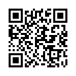 12065C333JAT2A QRCode