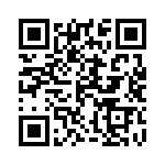 12065E334KAT4A QRCode