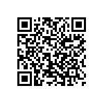 1206J3000620KQT QRCode