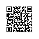 1206Y1K04P00DQT QRCode