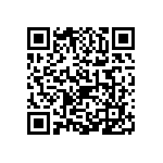 1206Y2501P80DQT QRCode