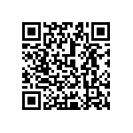 1206Y3004P00DQT QRCode