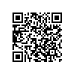 1210J0250273MXT QRCode