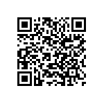 1210J2K00390KCR QRCode