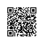 1210Y6300273KET QRCode