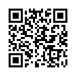 125131011203 QRCode