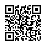 13-38 QRCode